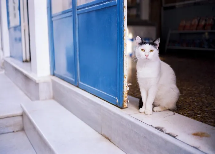 Wonderful Santorini House Athiri Private Pool Sea Views & Plunge Vila